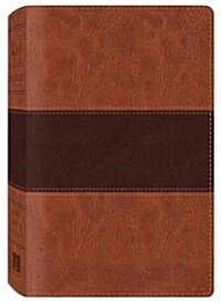 Study Bible-KJV (Imitation Leather)