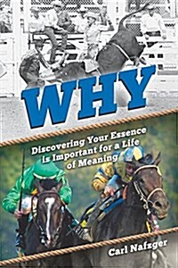 Why: Discovering Your Essence Is Important for a Life of Meaning (Paperback)