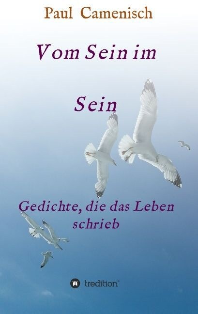 Vom Sein Im Sein (Paperback)