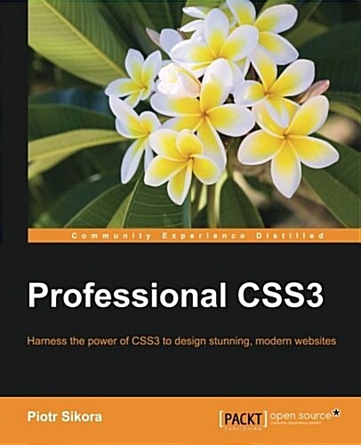 Professional CSS3 (Paperback)