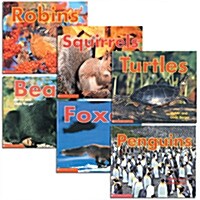 Animals Through the Year (6 books)