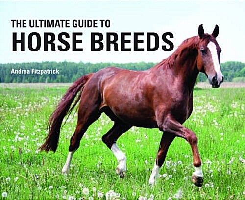 The Ultimate Guide to Horse Breeds (Hardcover)