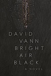 Bright Air Black (Paperback)