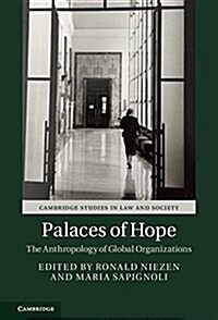 Palaces of Hope : The Anthropology of Global Organizations (Hardcover)