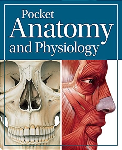 Pocket Anatomy & Physiology (Paperback)