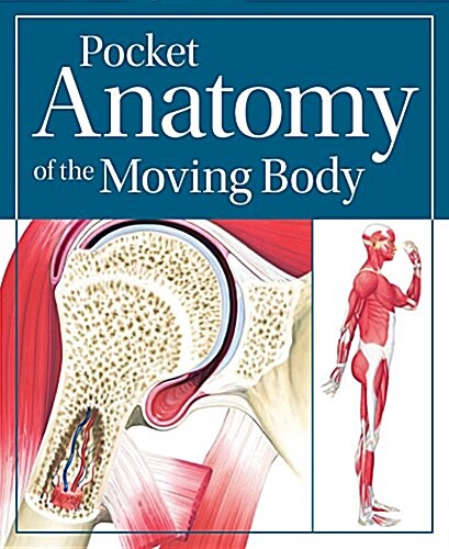 Pocket Anatomy of the Moving Body (Paperback)