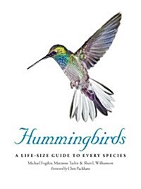 Hummingbirds : A Life-Size Guide to Every Species (Hardcover)