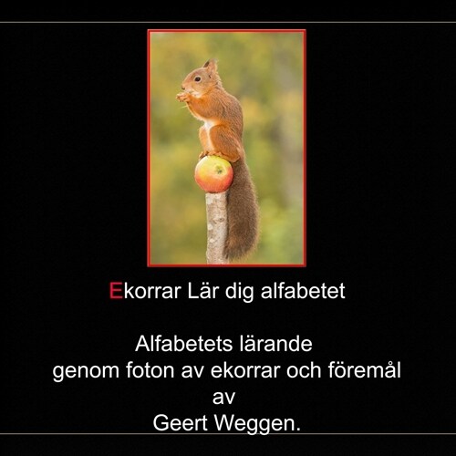 Ekorrar Lar Dig Alfabetet (Paperback)