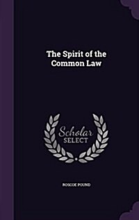 The Spirit of the Common Law (Hardcover)