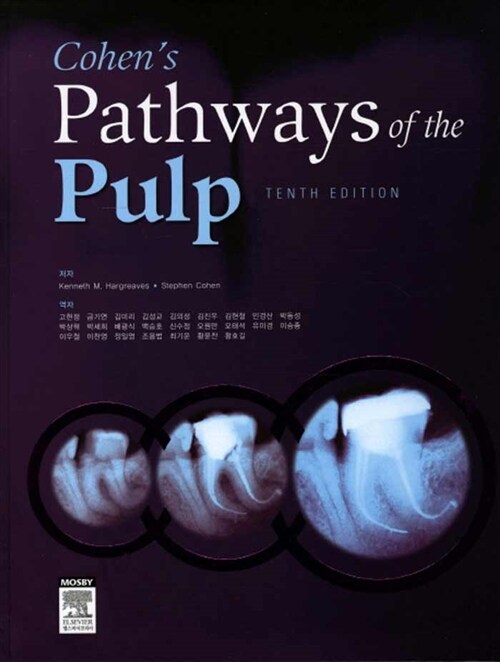 [중고] Pathways of the Pulp