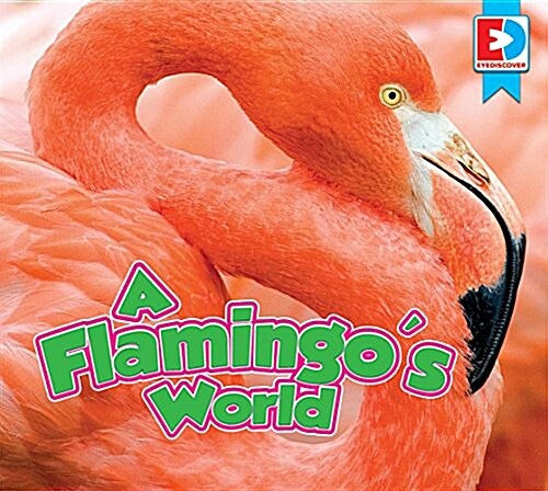 A Flamingos World (Library Binding)
