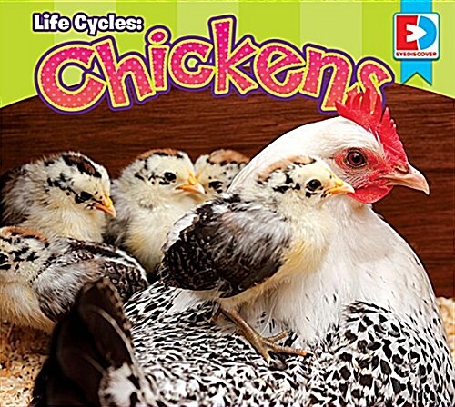 Life Cycles: Chickens (Library Binding)