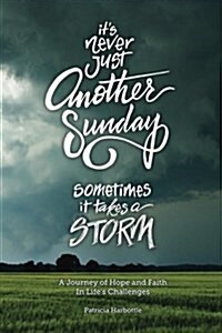 Its Never Just Another Sunday: Sometimes It Takes a Storm (Paperback)