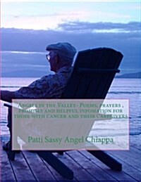 Angels in the Valley- Poems, Prayers, Promises and Helpful Infomation for Those (Paperback)