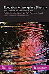 Education for Workplace Diversity: What Universities and Enterprises Can Do to Facilitate Intercultural Learning in Work Placements and Abroad (Paperback)