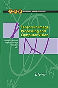 Tensors in Image Processing and Computer Vision (Paperback)