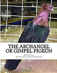 The Archangel or Gimpel Pigeon: Pigeon Breeds Book 8 (Paperback)