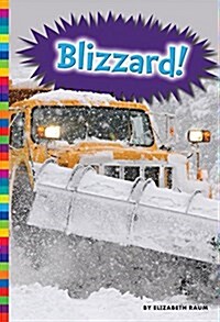 Blizzard! (Paperback)