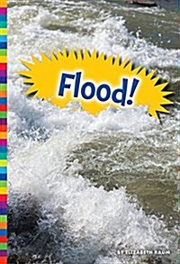 Flood! (Paperback)