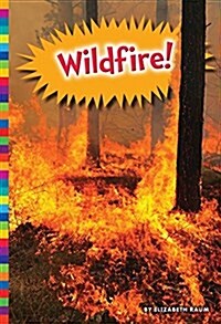 Wildfire! (Paperback)