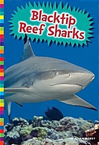 Blacktip Reef Sharks (Paperback)