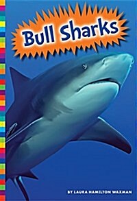 Bull Sharks (Paperback)