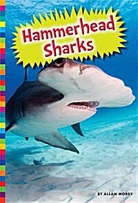 Hammerhead Sharks (Paperback)