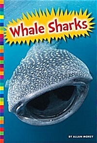 Whale Sharks (Paperback)