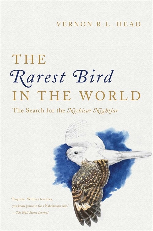 The Rarest Bird in the World (Paperback)