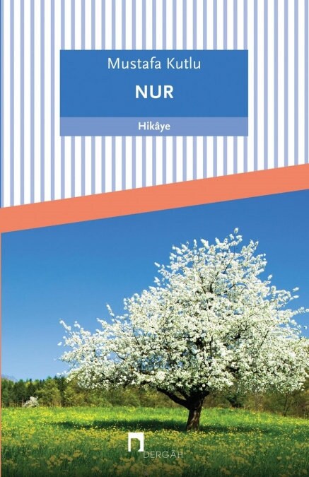 Nur (Paperback)