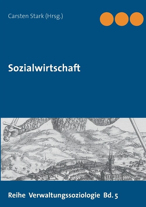 Sozialwirtschaft (Paperback)