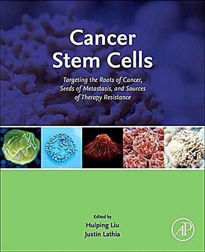 Cancer Stem Cells: Targeting the Roots of Cancer, Seeds of Metastasis, and Sources of Therapy Resistance (Hardcover)