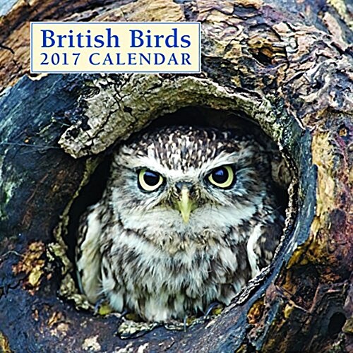 British Birds 2017 Calendar (Calendar)