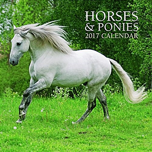 Horses & Ponies Calendar 2017 (Calendar)