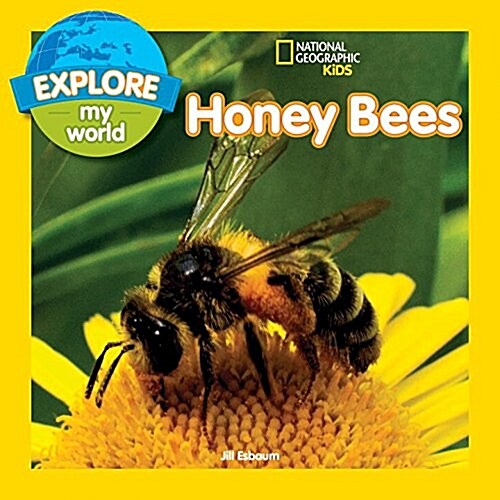 Explore My World: Honey Bees (Paperback)