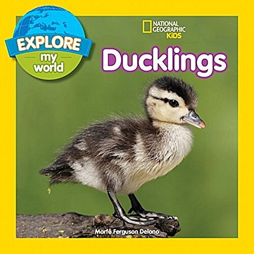 Explore My World: Ducklings (Paperback)