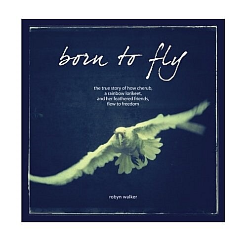 Born to Fly (Paperback)