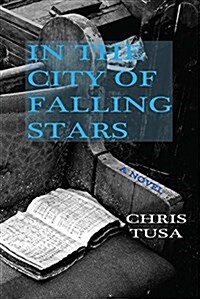 In the City of Falling Stars (Hardcover)