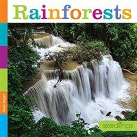 Rainforests (Paperback)