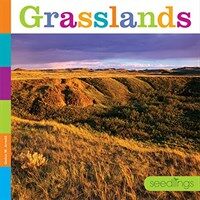 Grasslands (Paperback)