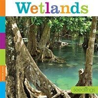 Wetlands (Paperback)