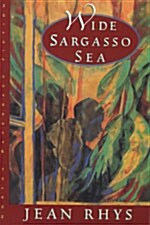 [중고] Wide Sargasso Sea (Paperback, Reissue)