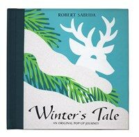 Winter's tale : an original pop-up Journey 