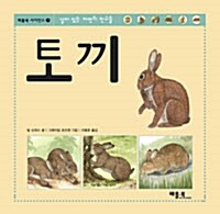 토끼