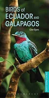 Birds of Ecuador and Galapagos (Paperback)