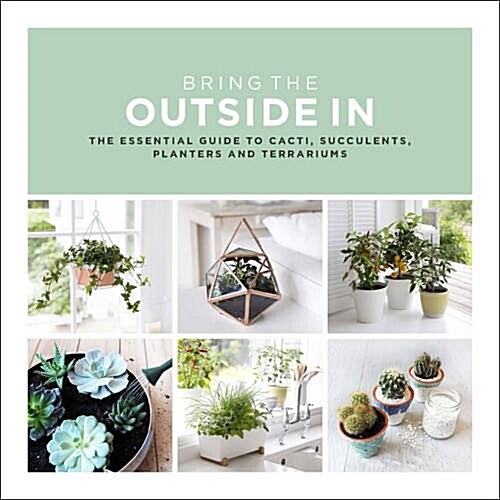 Bring the Outside in : The Essential Guide to Cacti, Succulents, Planters and Terrariums (Hardcover)