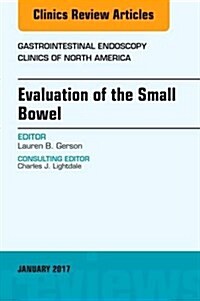 Evaluation of the Small Bowel, an Issue of Gastrointestinal Endoscopy Clinics: Volume 27-1 (Hardcover)