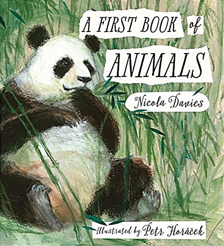 A First Book of Animals (Hardcover)
