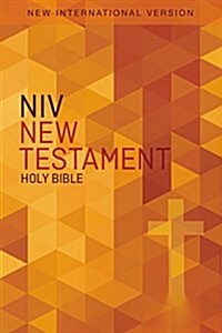 Outreach New Testament-NIV (Paperback)