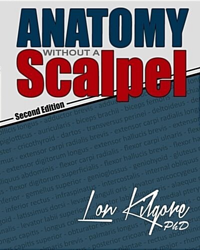 Anatomy Without a Scalpel - Second Edition (Paperback)